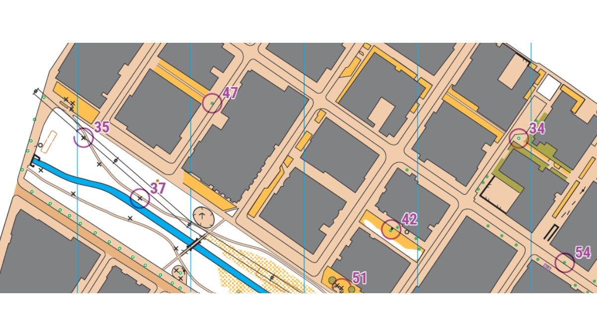 Entrenamiento - Parque el Virrey (1 de Marzo 2026)